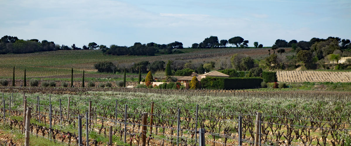 Aix