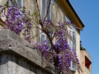 Aix walk