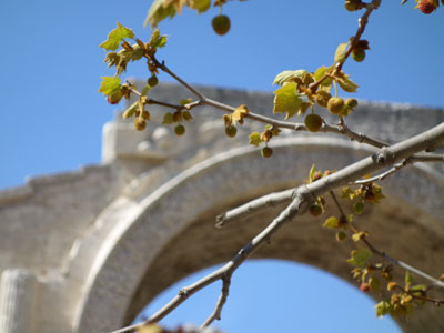Aix walk