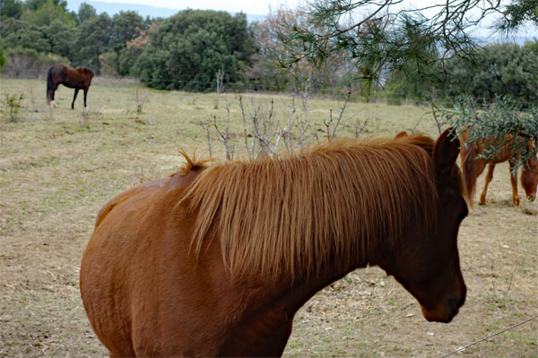 Luberon