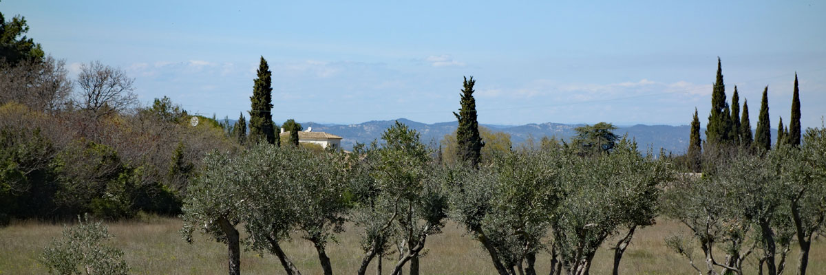Luberon