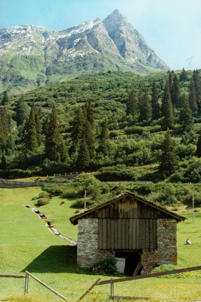 Swiss Alps