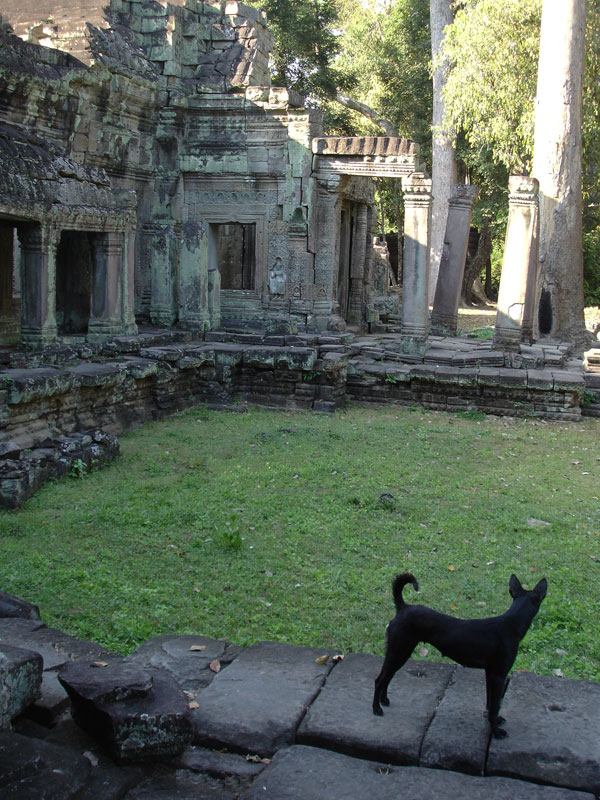 Ta Prohm