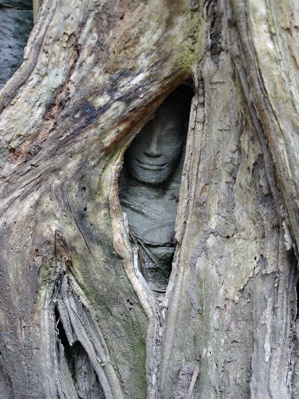 Ta Prohm