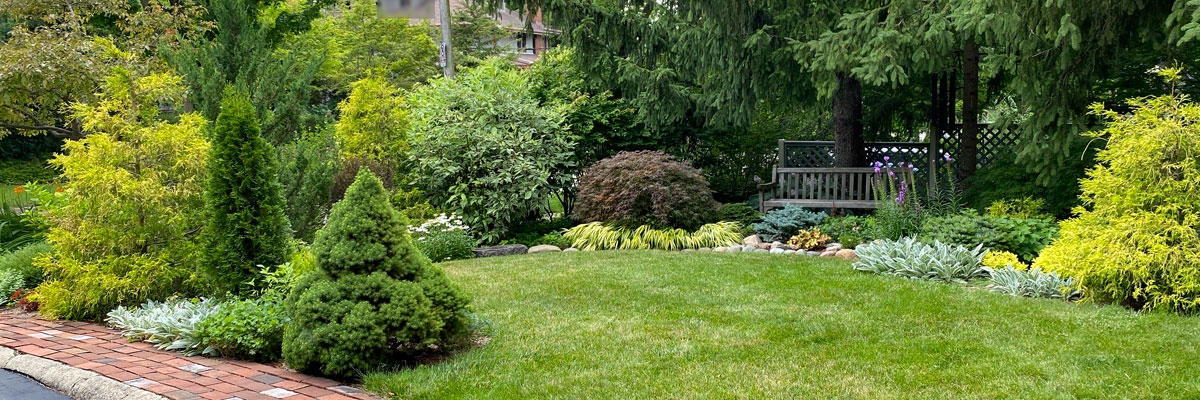 Frontyard