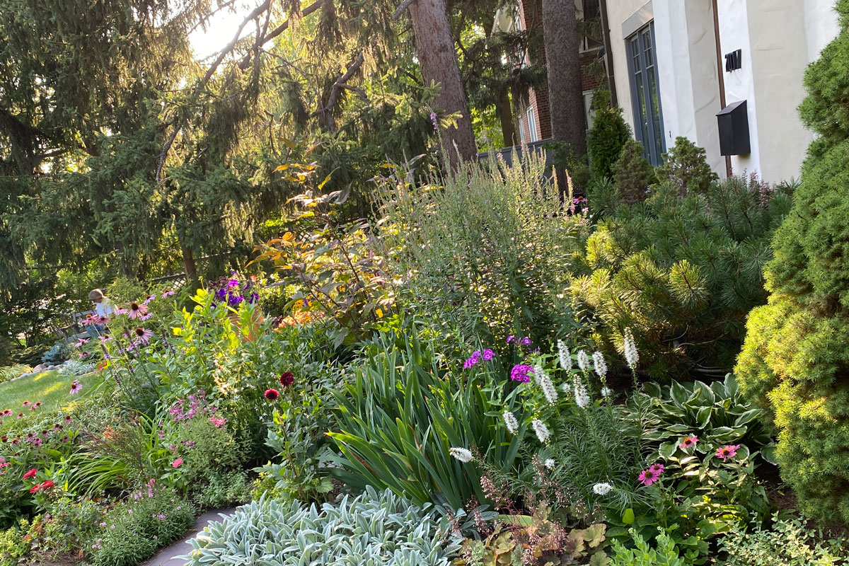 Front garden