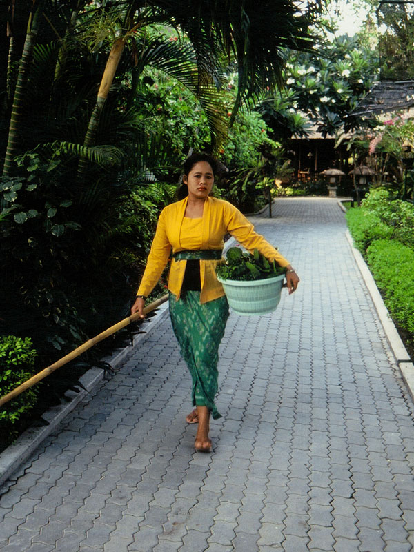 Village staff