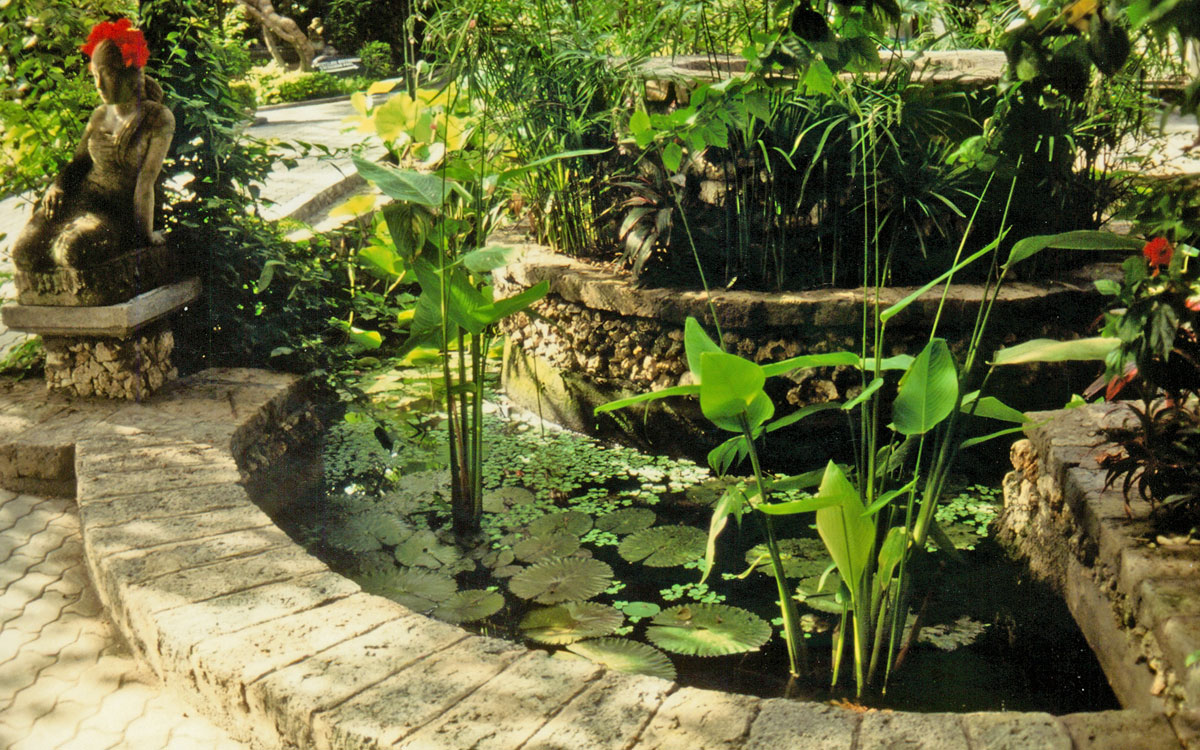 Pond