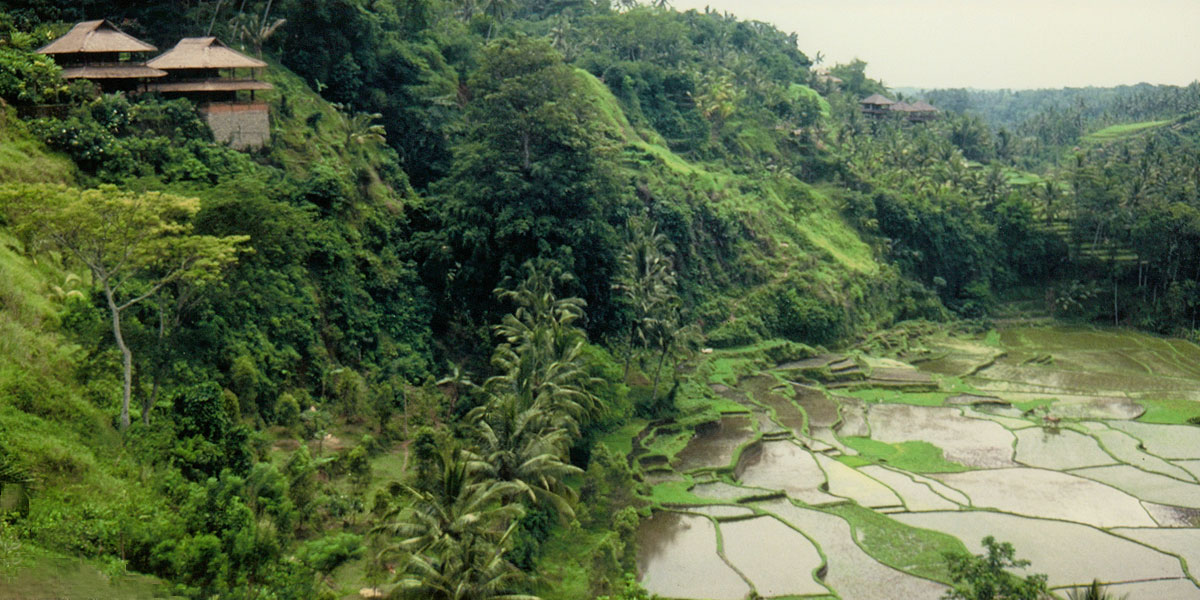 River valley