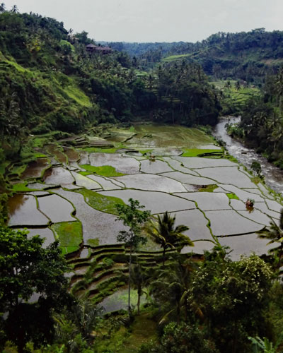 Valley