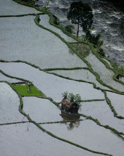 Valley