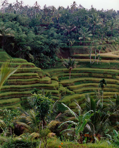 Valley