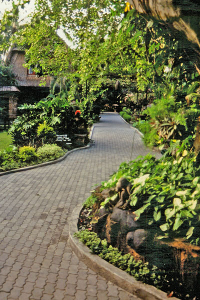 Walkway in the village