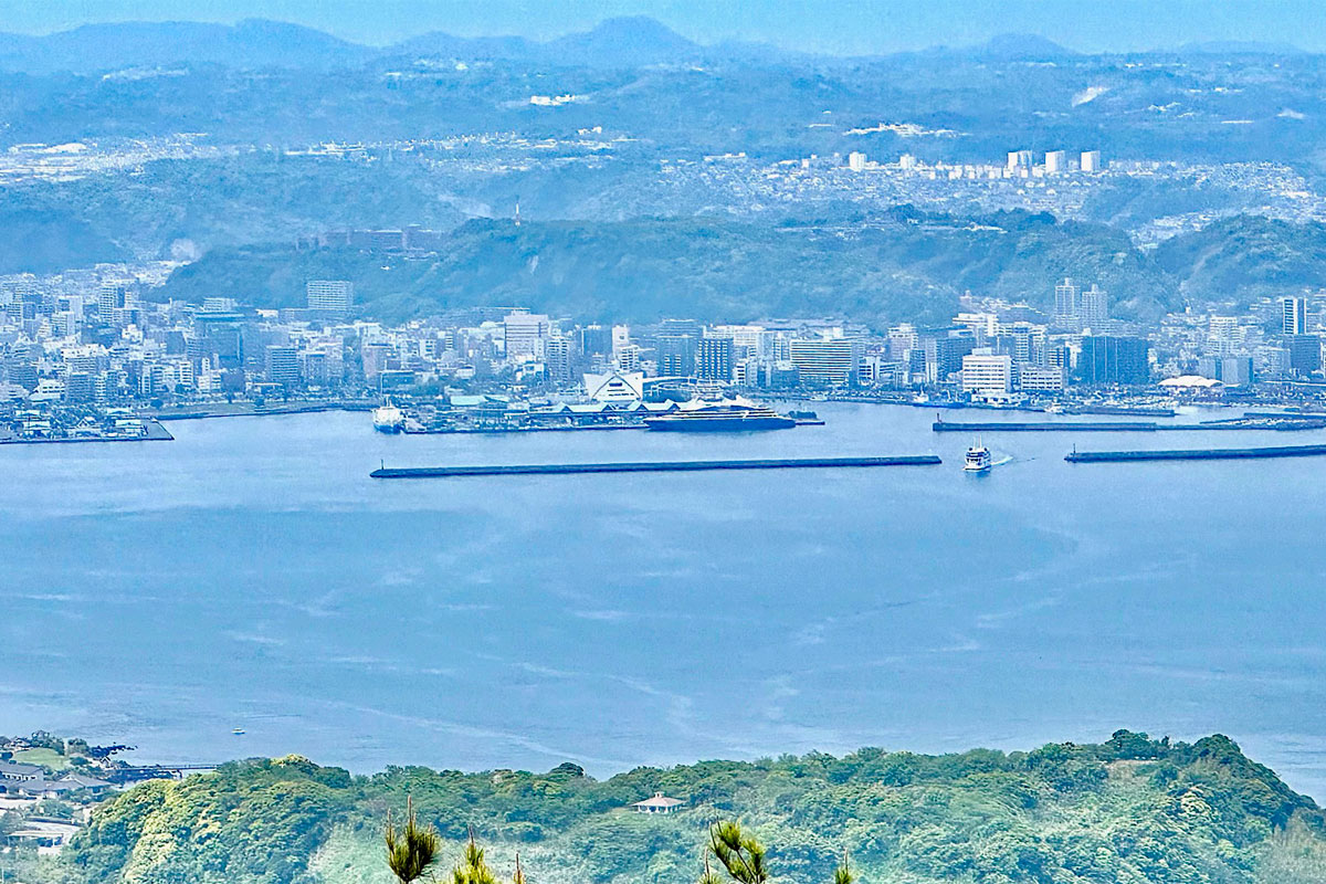 View