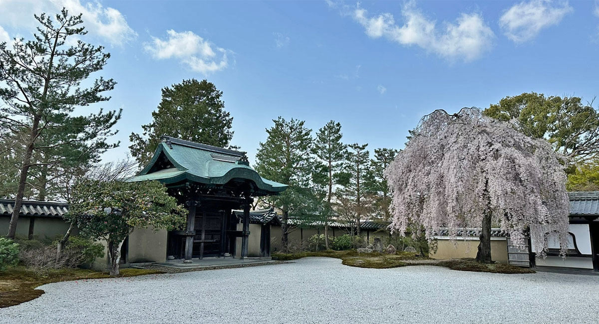 Rock garden