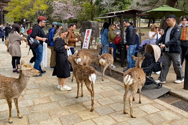 Nara Park