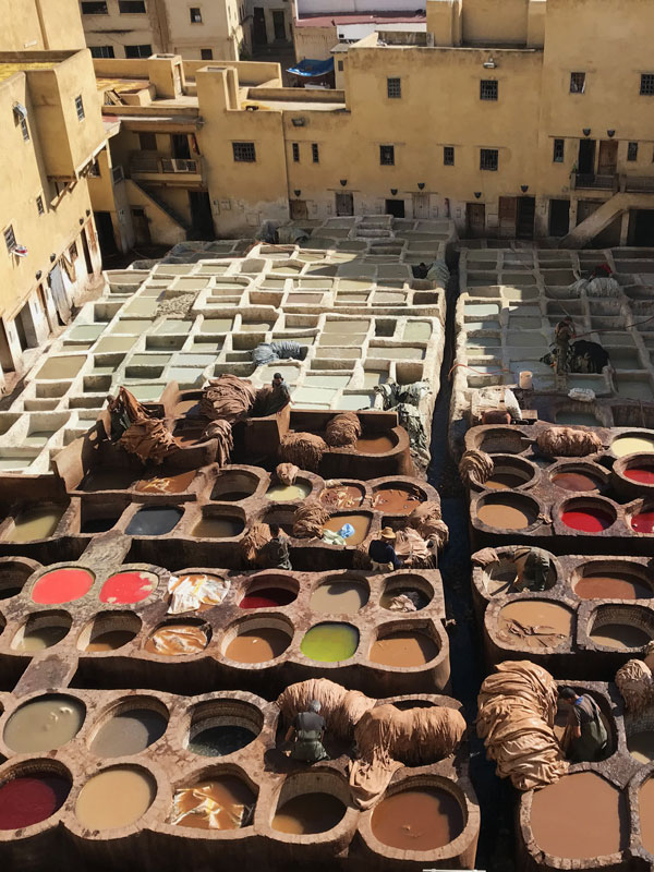 Fez Tannery