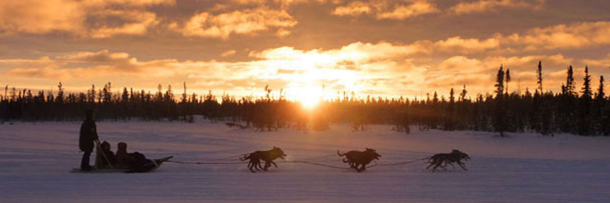 Dogsled