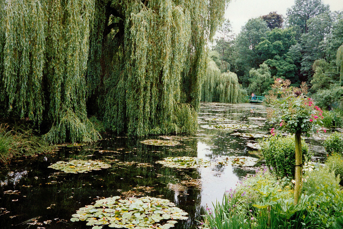 Pond