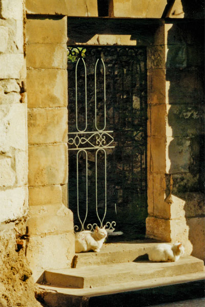 Provence