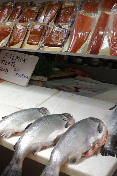 Fish market stall