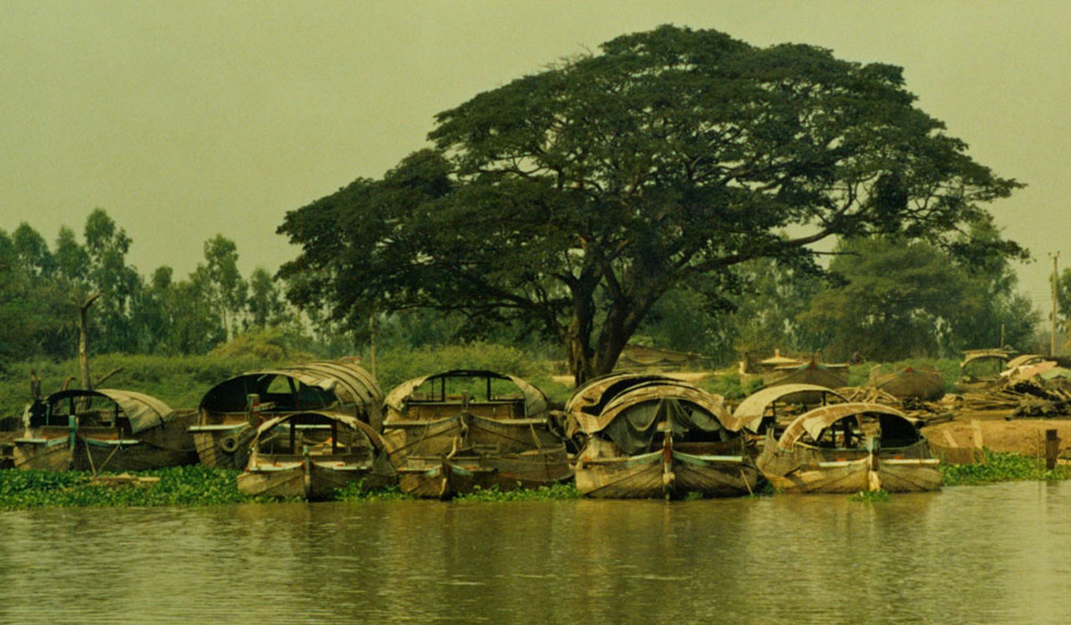 View of boats