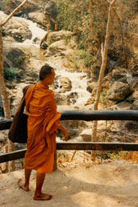 Monk