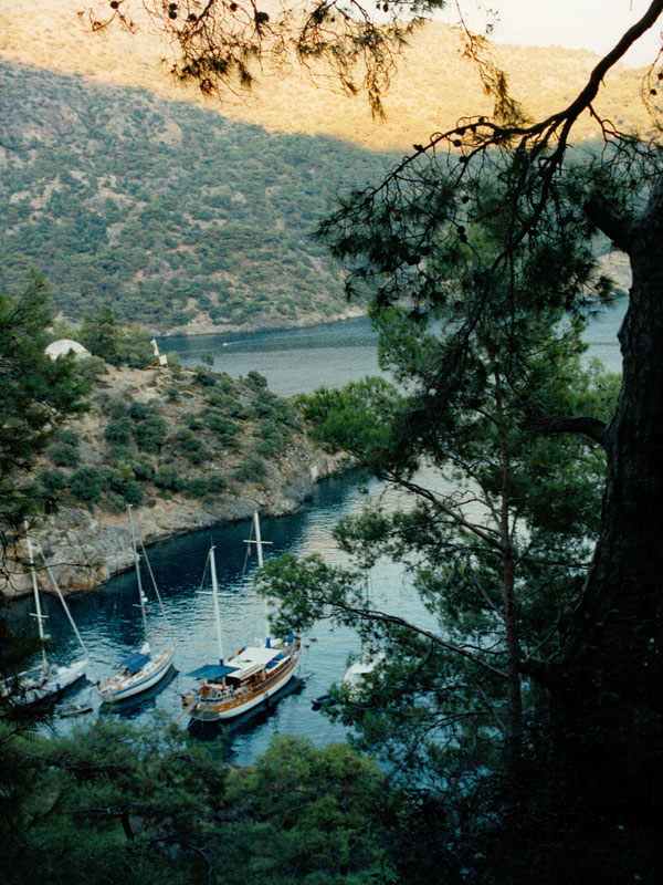 Quiet cove