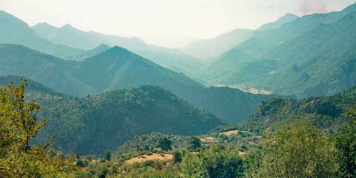 Panoramic view